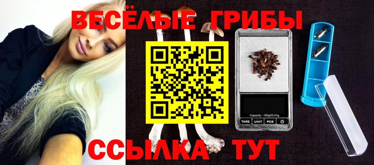 цена   Вход с VPN  Тайшет  Псилоцибиновые грибы мицелий 