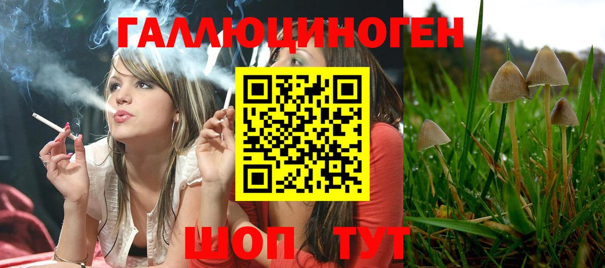 Псилоцибиновые грибы мицелий Тайшет